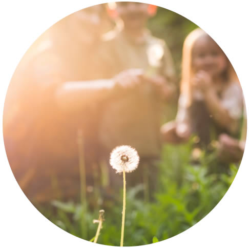 Pusteblume